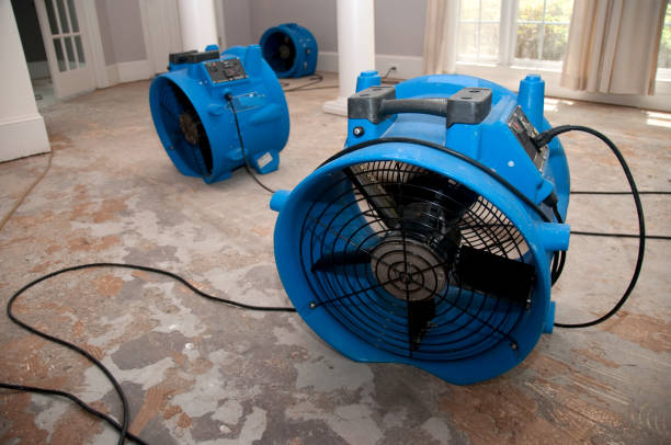 Best Flood damage cleanup  in Arnold, CA