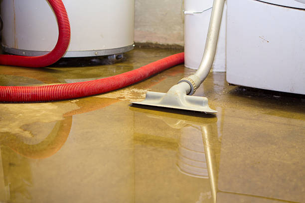 Best Water damage restoration cost  in Arnold, CA