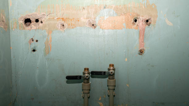 Best Water damage restoration near me  in Arnold, CA